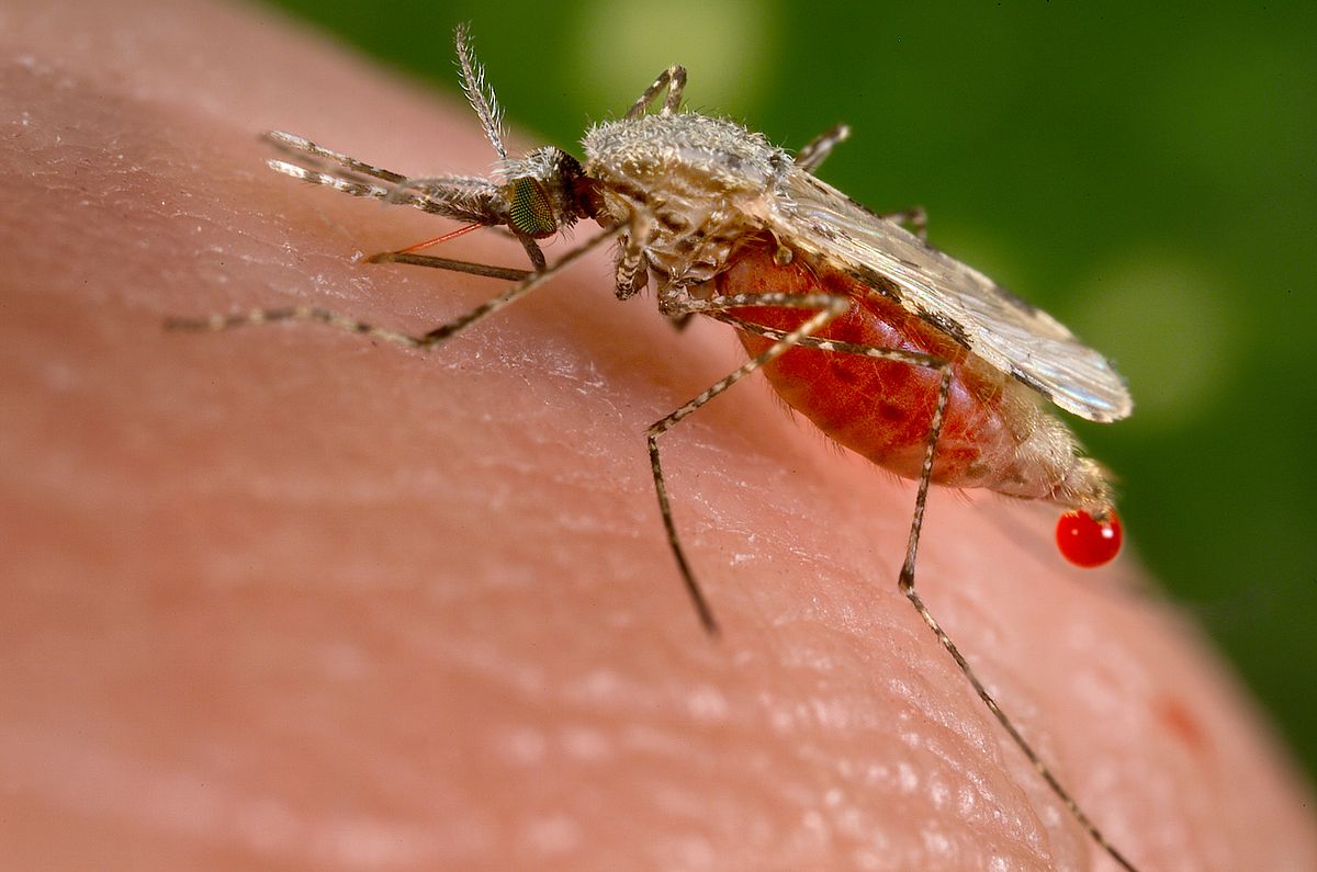Se registran menos casos de influenza y malaria en Nicaragua