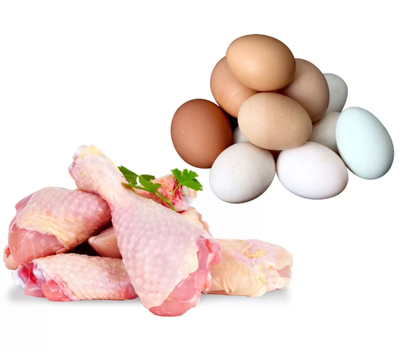 Producción de carne de pollo y huevos aumentó en 2022