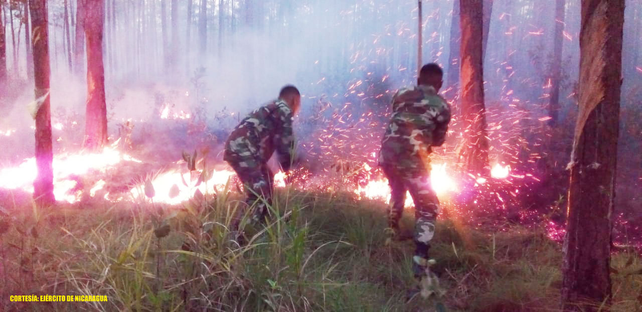 Incendio de 42 manzanas de bosques en Waspán fue extinguido por el Ejército
