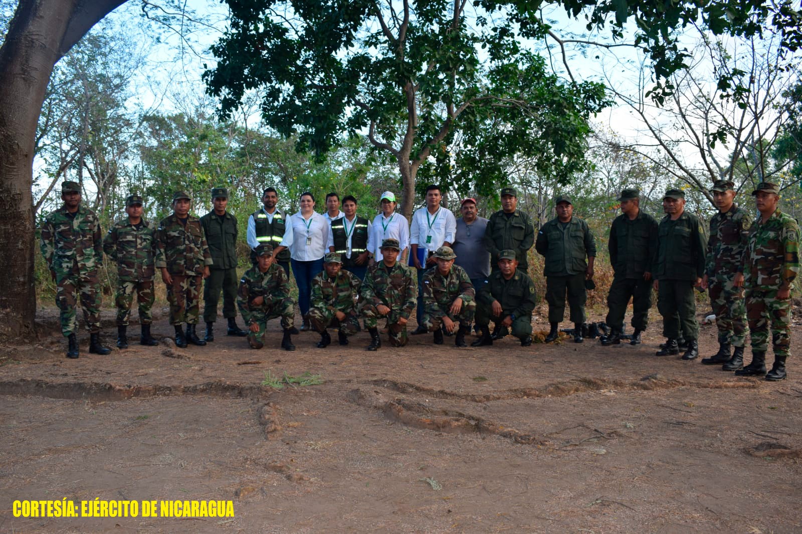 Militares participan en capacitación para la creación y manejo de viveros forestales