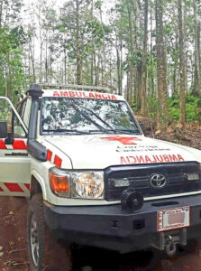 Fallece nicaragüense tras caerle un árbol en Costa Rica