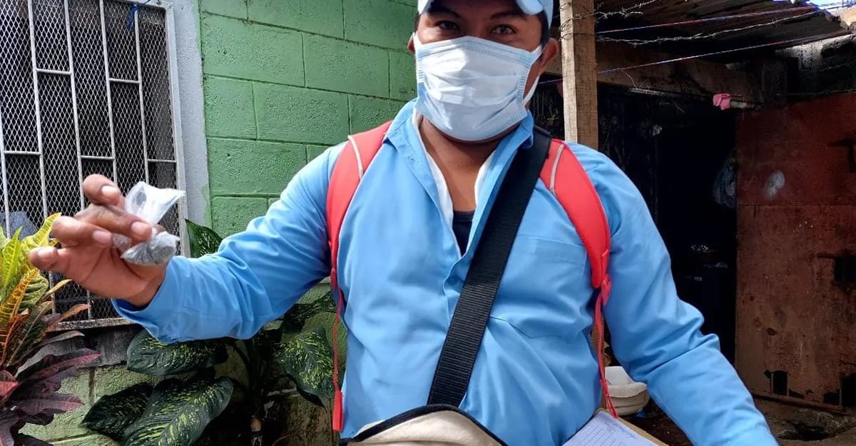 Minsa desarrolla jornada de abatización en la comarca San Isidro