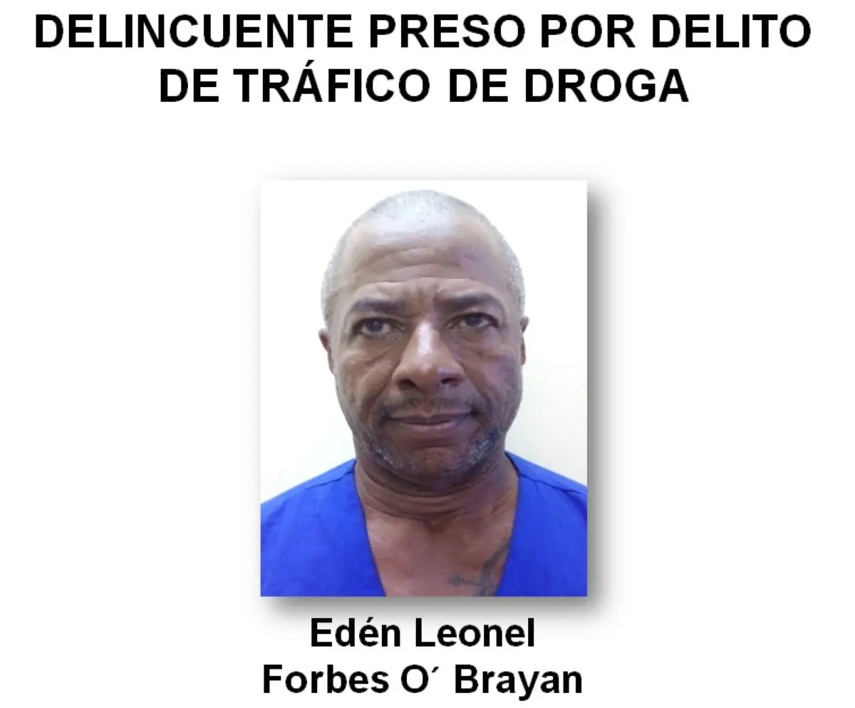 Policía Nacional decomisa marihuana valorada en U$81 mil