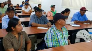 Productores de café y cacao usarán tecnología de alta genética del INTA