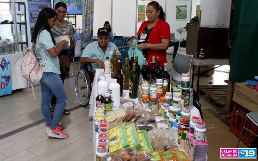 Más de 120 emprendedores participaron en feria ambiental