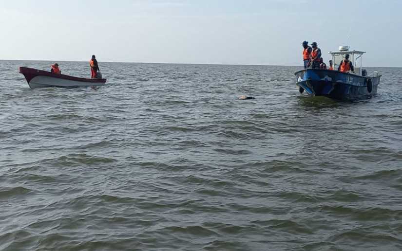 Fuerza Naval informa el rescate de fallecidos por accidente acuático en el Cocibolca