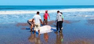 Ejército rescata el cuerpo de un joven que pereció ahogado en las playas de San Diego, en Villa El Carmen