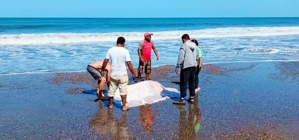 Ejército rescata el cuerpo de un joven que pereció ahogado en las playas de San Diego, en Villa El Carmen