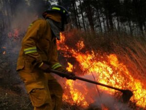 Honduras con 33 mil hectáreas afectadas por incendios forestales
