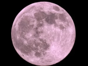 Superluna rosa de abril de 2023: qué significa, a qué hora y cómo verla en vivo