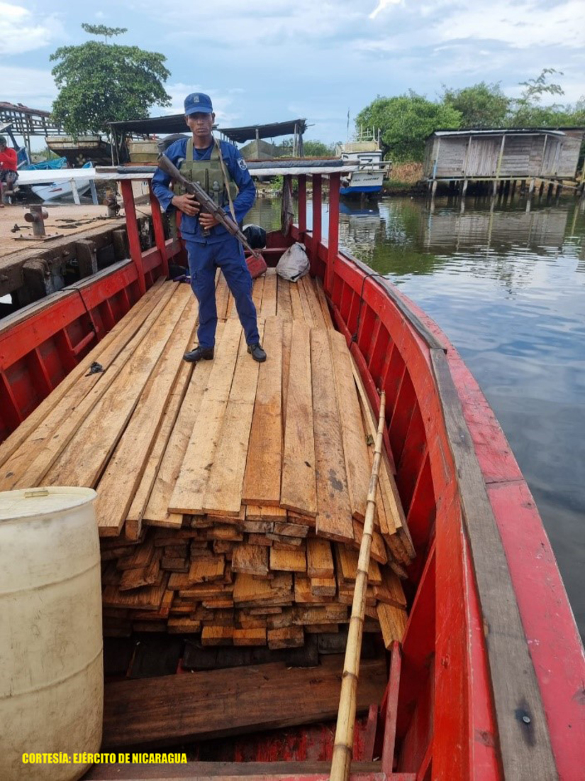 Ejército ocupó 4 mil pie de madera en el Caribe Norte de Nicaragua