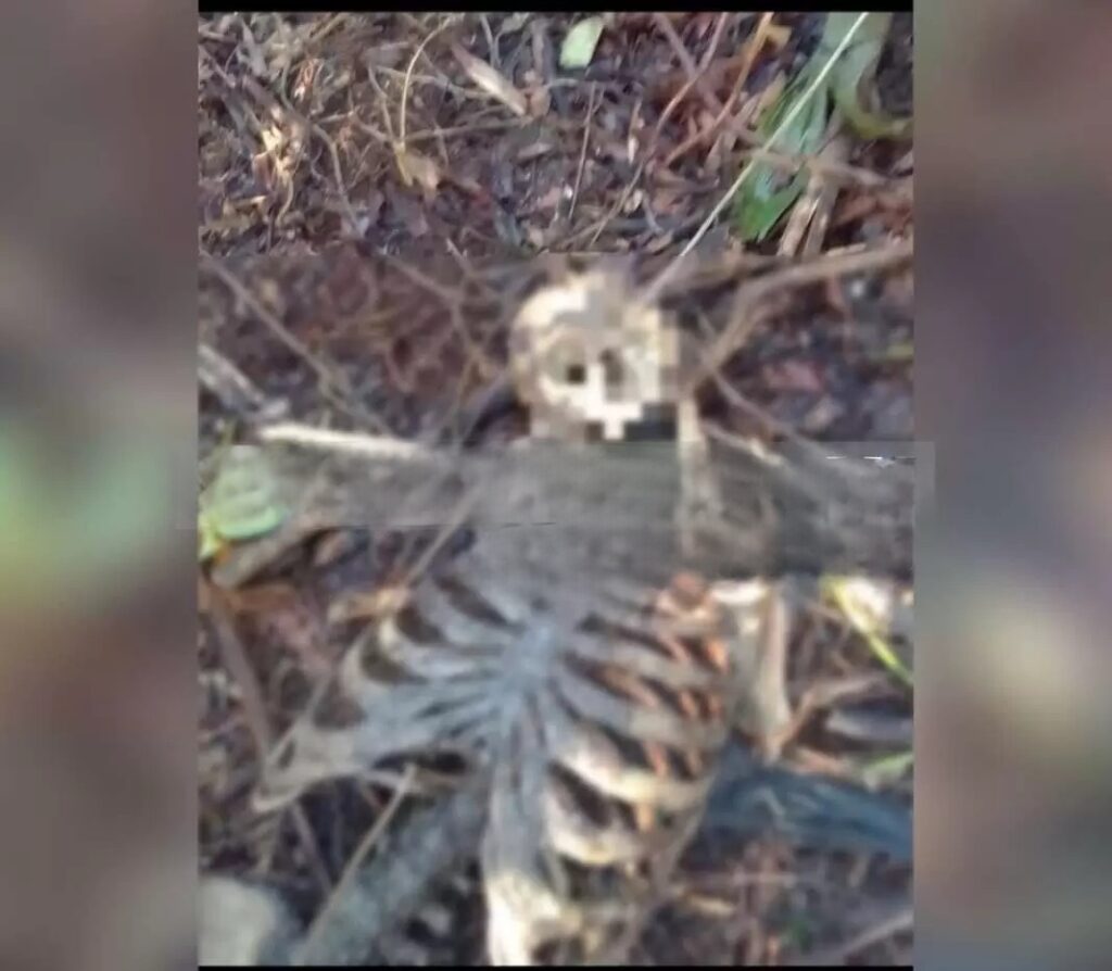 Policía encuentra la osamenta de un hombre asesinado en Bilwi