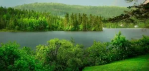 22 de mayo: Día Mundial de la Biodiversidad