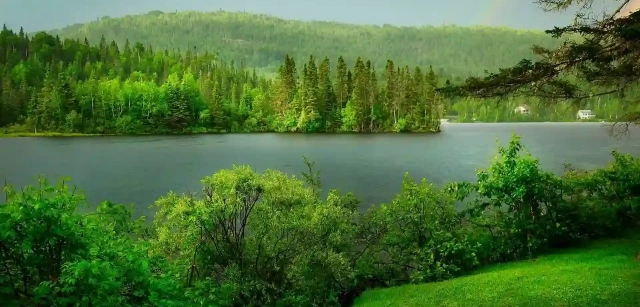 22 de mayo: Día Mundial de la Biodiversidad