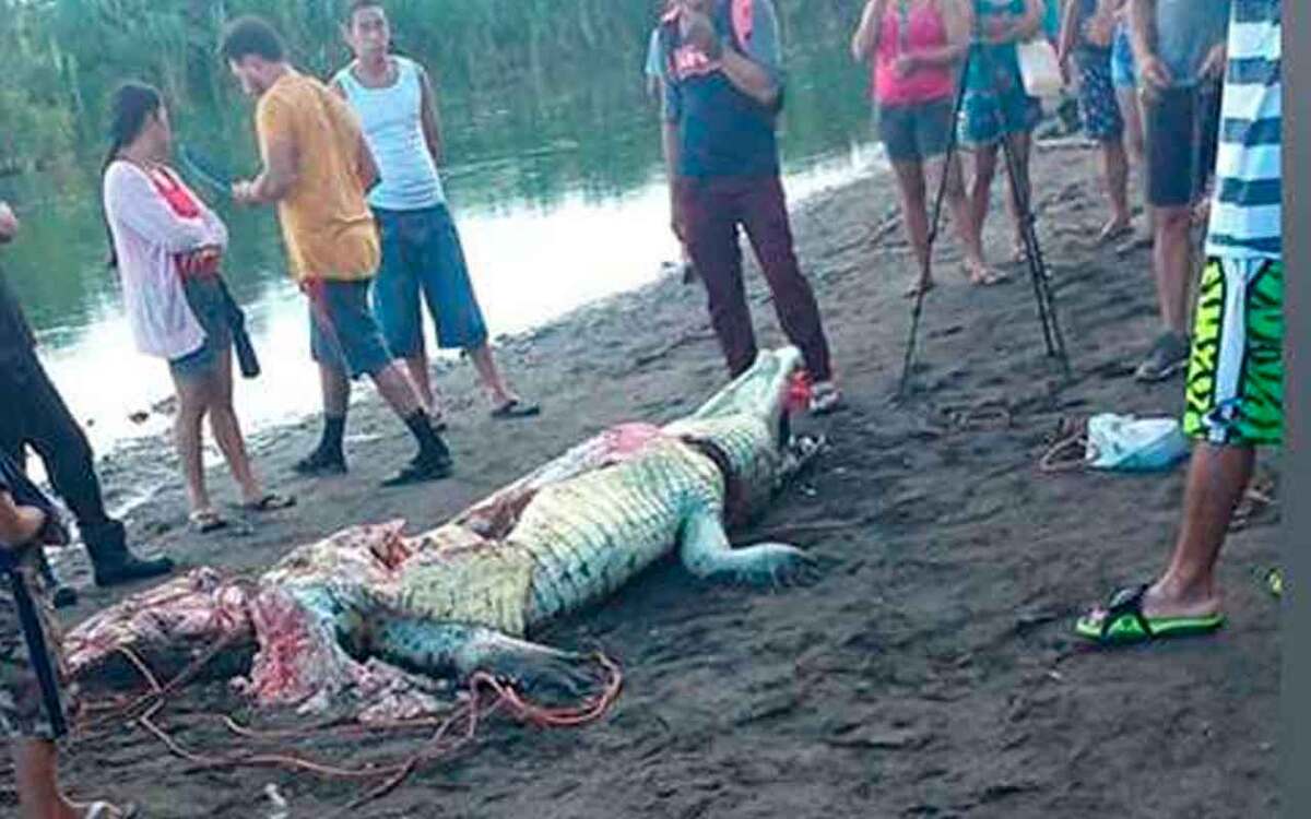 Huesos extraídos de cocodrilo pertenecen a niño nicaragüense