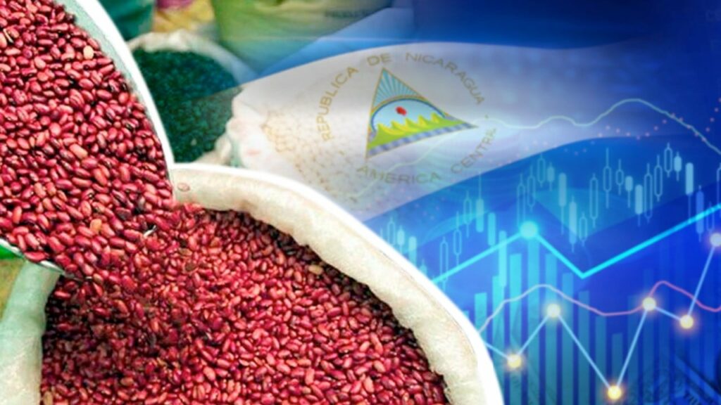 Nicaragua alcanzará más del 90% de seguridad alimentaria en el 2026