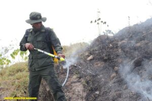 Batallón Ecológico apoyó extinción de incendio forestal en Siuna