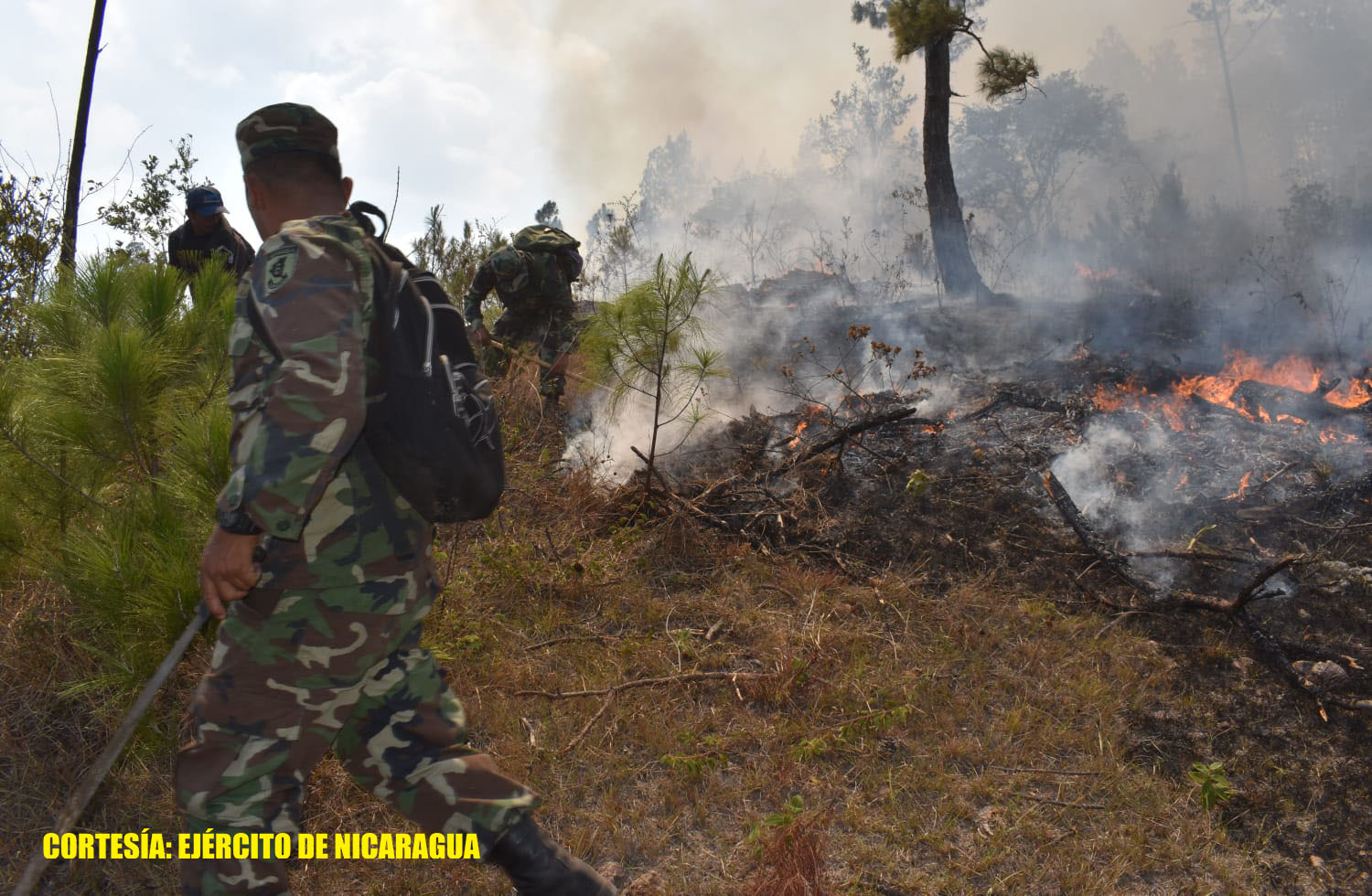 Ejército sofoca incendio que devoró 80 manzanas de bosque en El Horno, Matagalpa