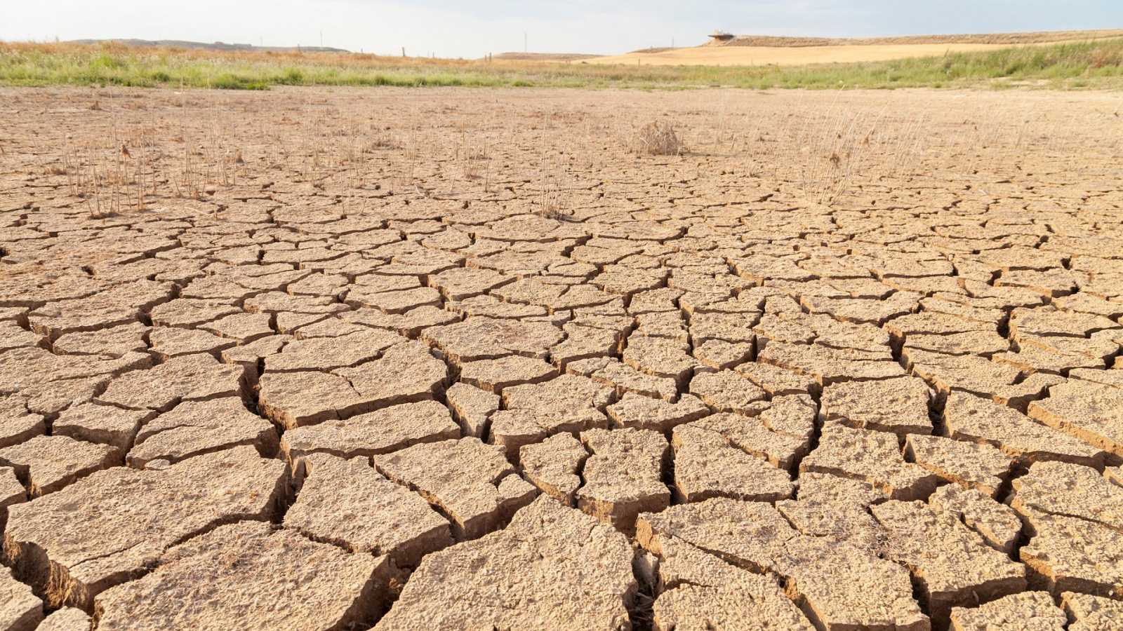 ¿Qué acciones ayudan a combatir la sequía y la desertificación?