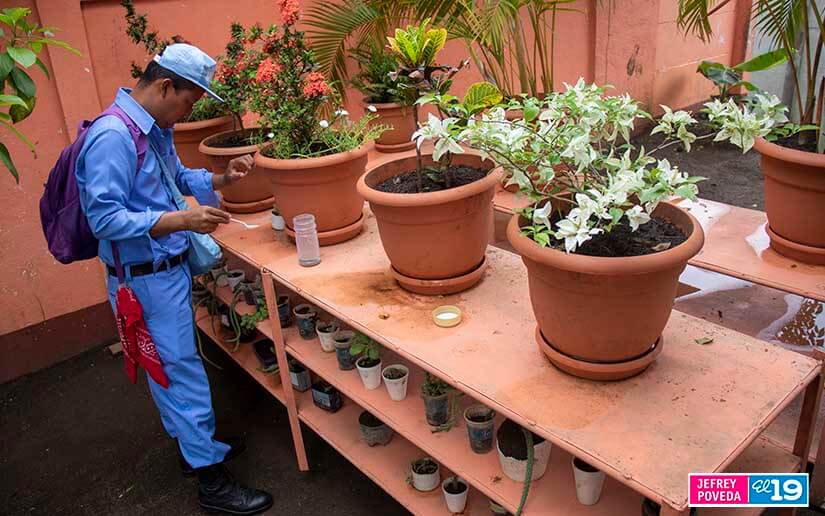 MINSA fortalece lucha antiepidémica en barrio Villa Canadá