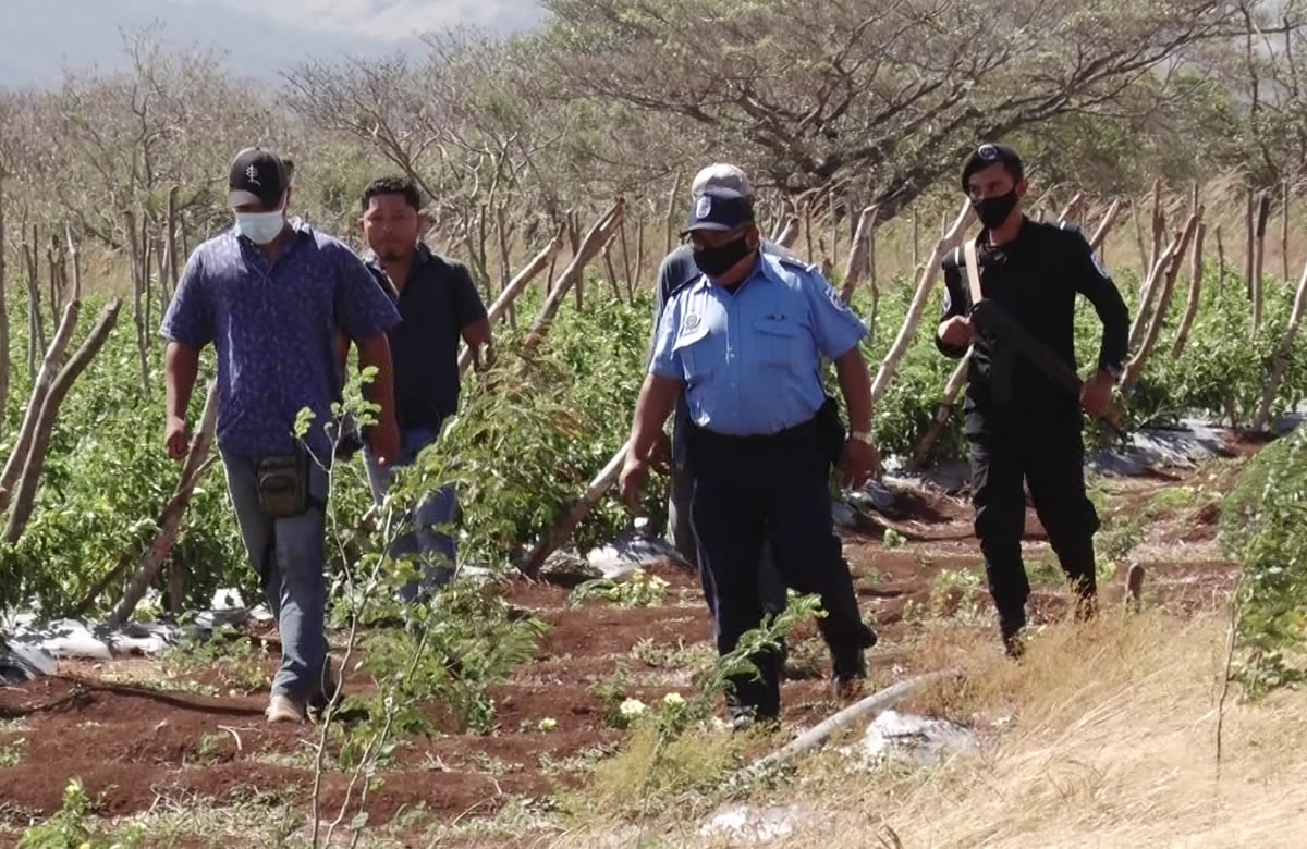 Capturan a 30 personas por cometer delitos de peligrosidad en Nicaragua