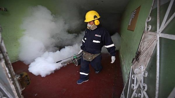 Alertan sobre incremento de dengue en Perú asociado a El Niño