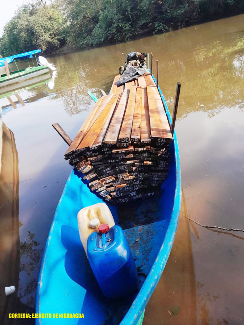 Ejército ocupó 1,500 pies de madera en el Caribe Sur de Nicaragua