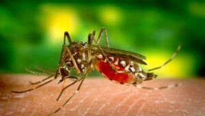 El dengue y la malaria aumentaron en la última semana en Nicaragua