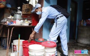 Minsa elimina criaderos del mosquito transmisor del dengue