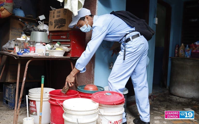 Minsa elimina criaderos del mosquito transmisor del dengue