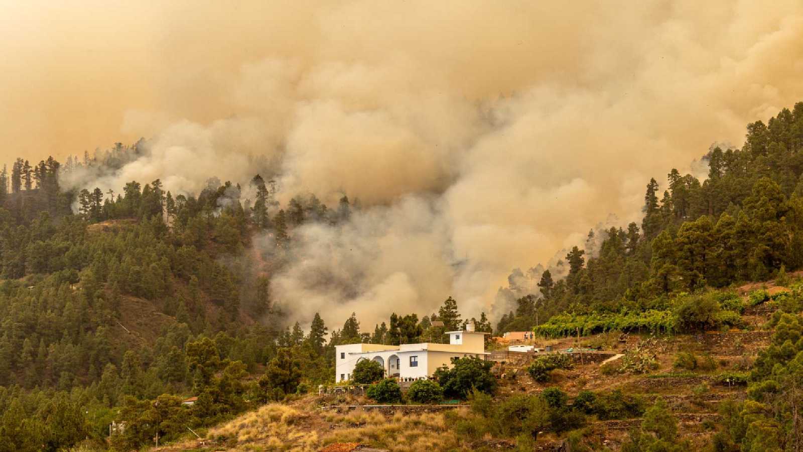 Incendio forestal quema más de 4.500 hectáreas en La Palma, España