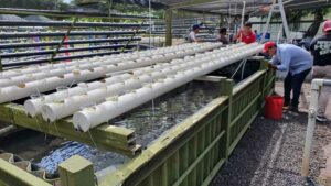 INTA inaugura centro experimental para cosechar peces y hortalizas