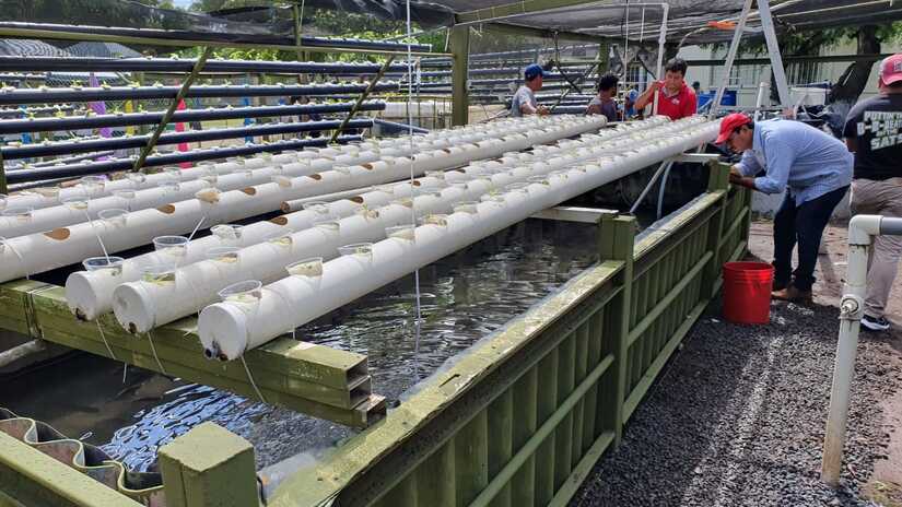 INTA inaugura centro experimental para cosechar peces y hortalizas