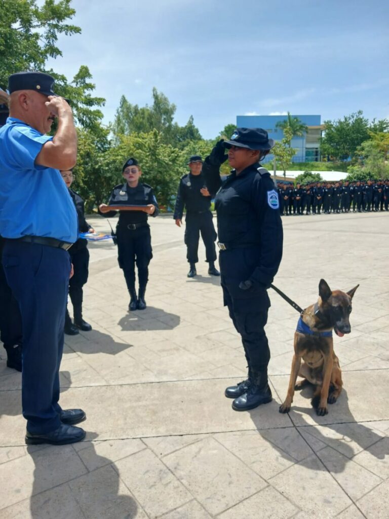Se gradúan 10 mujeres policías en técnica canina