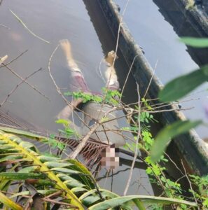 En estado de descomposición hallan cadáver en bahía de Bluefields