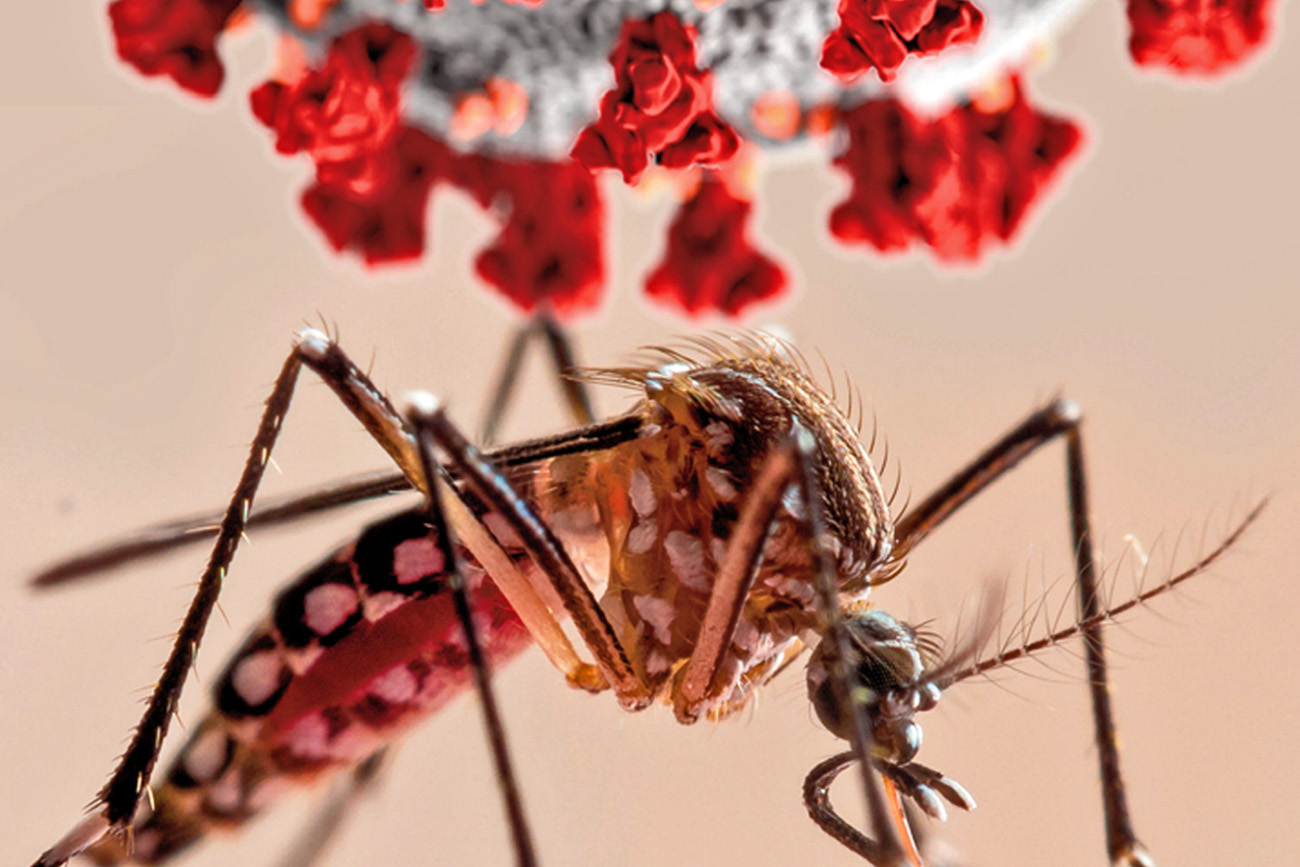Aumentan los casos de dengue y malaria en la última semana epidemiológica