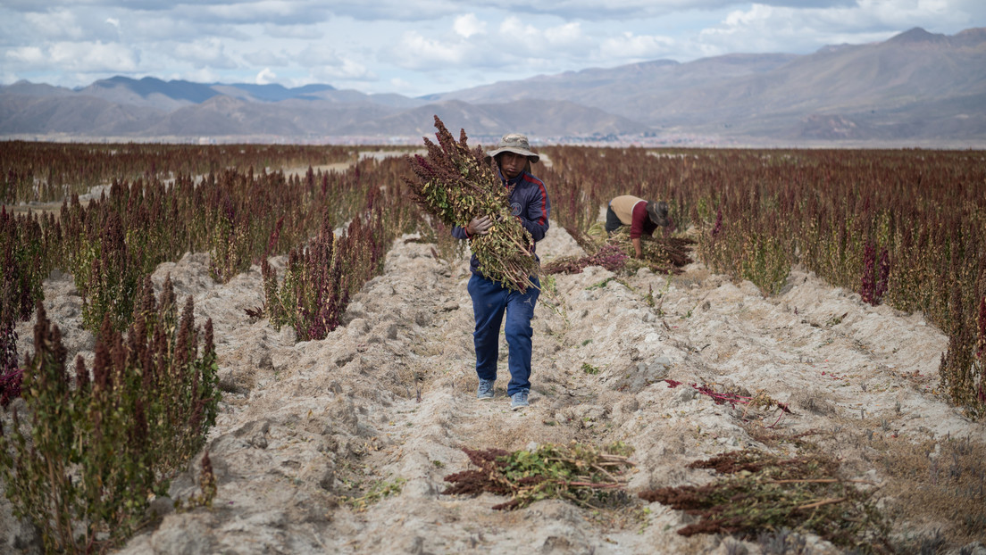 Lanzan un plan para enfrentar el impacto de El Niño en América Latina