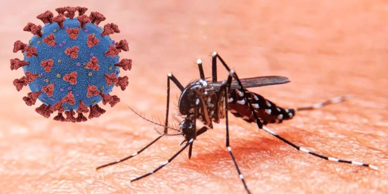 MINSA intensifica acciones de prevención contra el dengue y covid-19