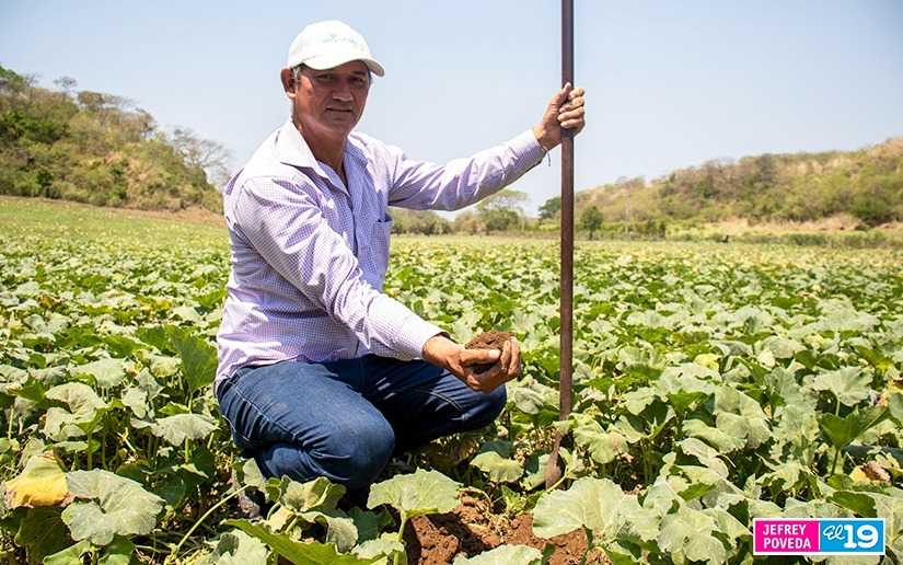Nuevas oficinas del MAG en seis municipios de Nicaragua