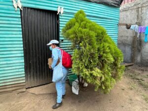 El MINSA destaca concientización de la comunidad  para eliminar criaderos de zancudos