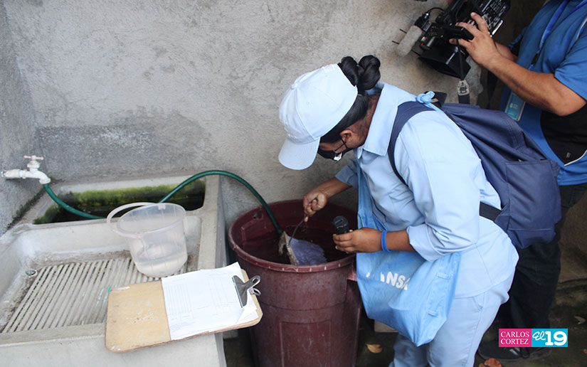 Cerco epidemiólogo contra el dengue alcanza 3 mil viviendas en Managua