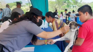 El MINGOB realizó una feria de salud animal en saludos a su 44 aniversario en Chinandega