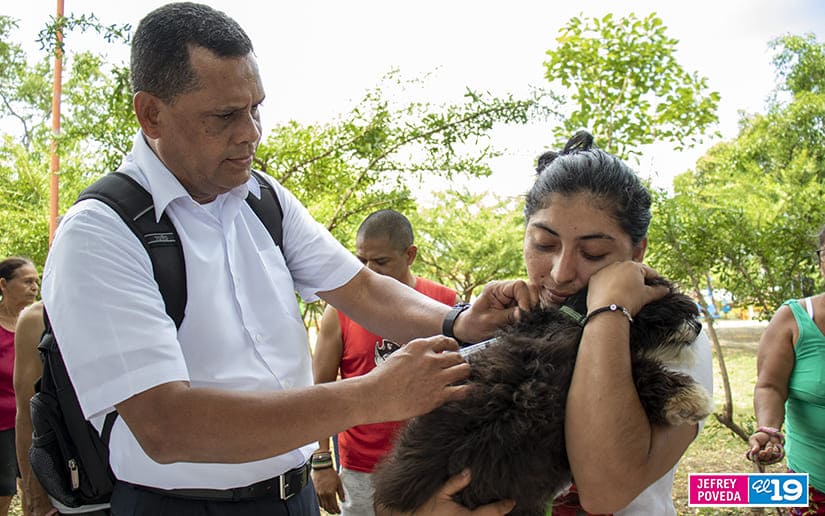 Campaña antirrábica inmunizará a cerca de 300 mil perros