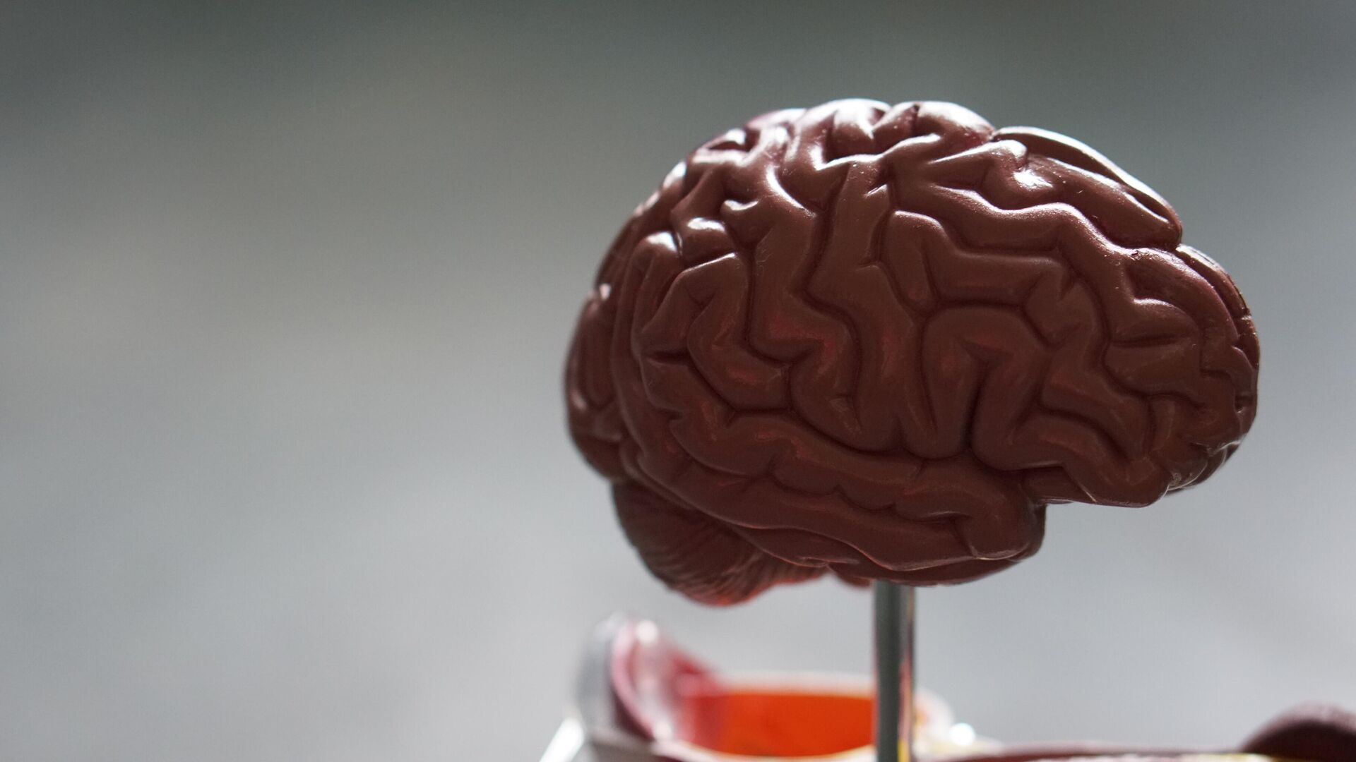 Un nuevo estudio con ratones desafía la teoría actual sobre la causa del alzhéimer