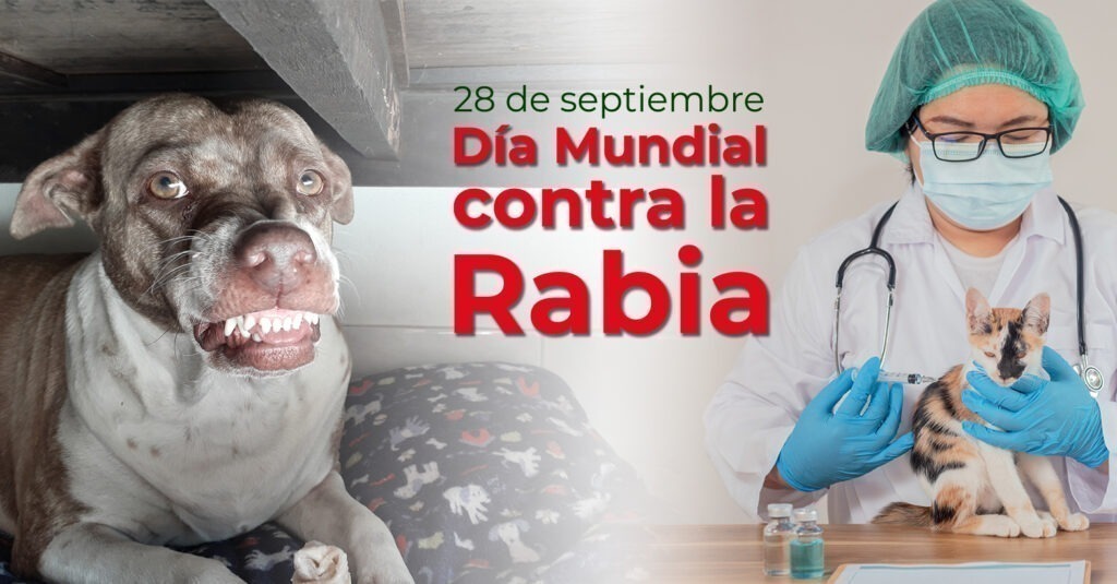 Día Mundial contra la Rabia: cómo prevenirla y qué hacer ante una posible infección