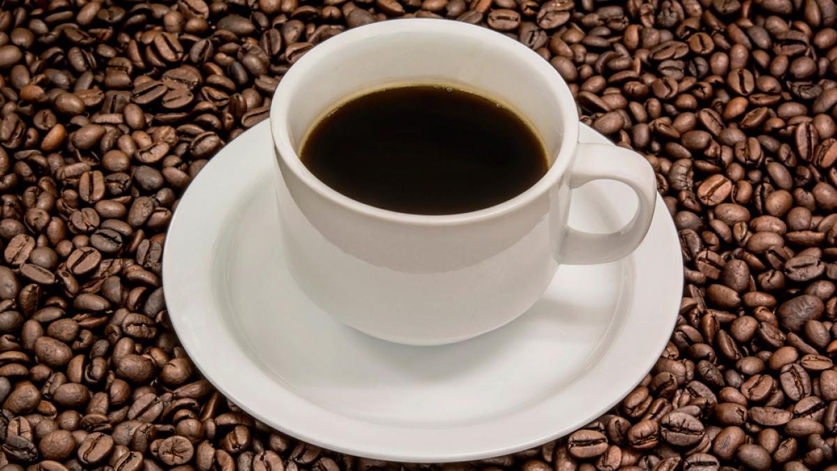 ¿Cuántas tazas de café se pueden tomar por día?: Beneficios y riesgos de su consumo