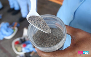 Lucha contra enfermedades vectoriales no se detiene en la capital