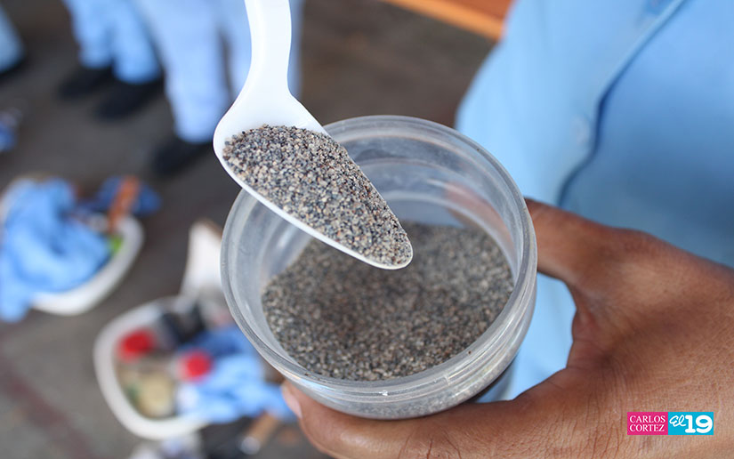 Lucha contra enfermedades vectoriales no se detiene en la capital