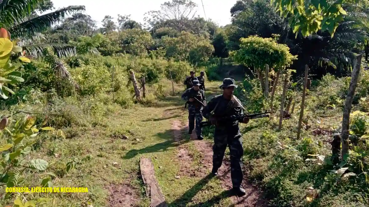 Ejército realizará 2 caminatas de adiestramiento