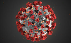 Imagen Ilustrativa del coronavirus